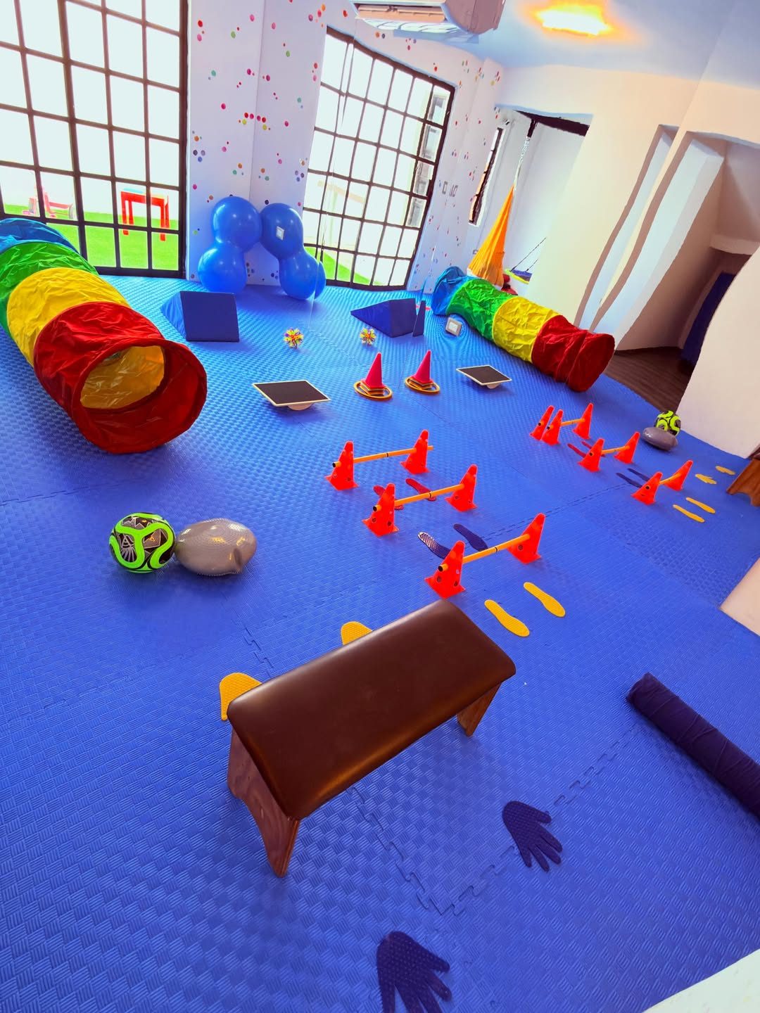 Gimnasio Neuromotor